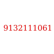 9132111061