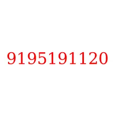 9195191120