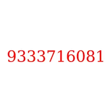 9333716081