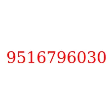 9516796030