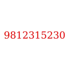 9812315230