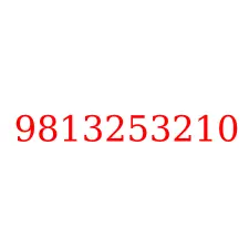 9813253210