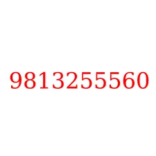 9813255560