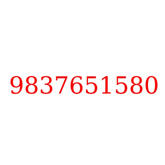 9837651580 Пресс-масленка, 9837651580