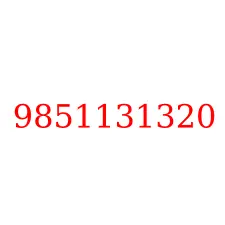 9851131320