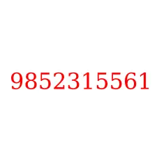 9852315561