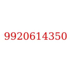 9920614350