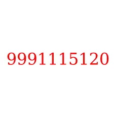 9991115120