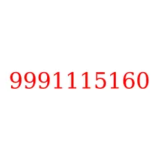 9991115160