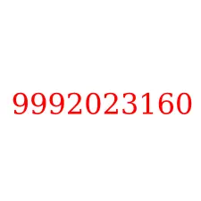 9992023160