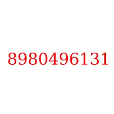 8980496131