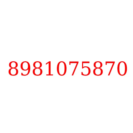 8981075870 Усилитель пола, RH, 8981075870