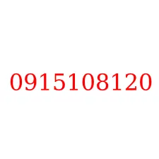 0915108120