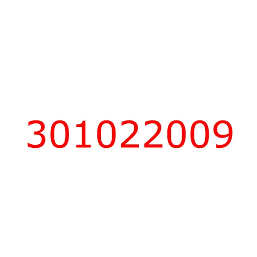 301022009 Щетка стеклоочистителя левого (550мм) ISUZU CYZ51/CXZ/EXZ, 301022009