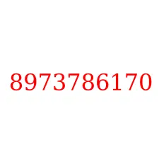 8973786170