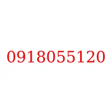 0918055120